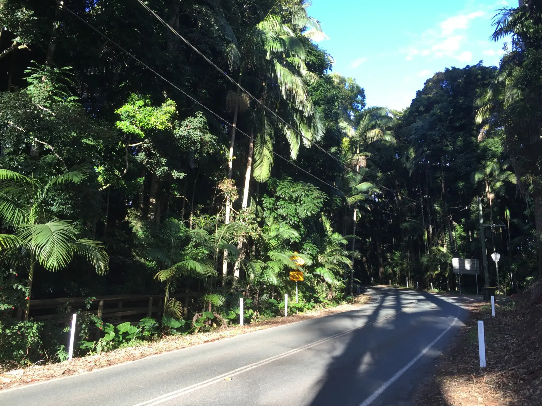 Road at the Tamborine Mountain, Queensland