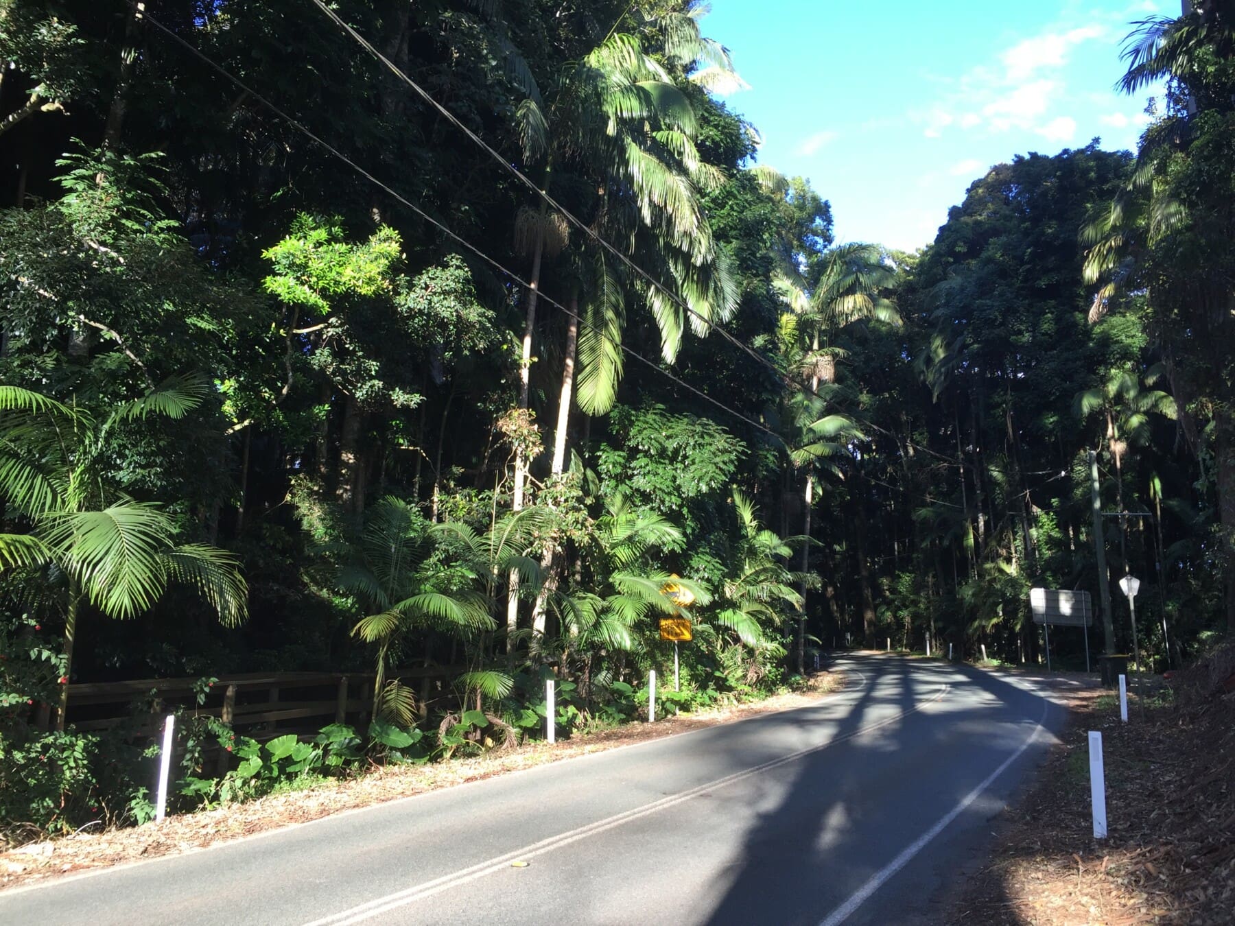Road at the Tamborine Mountain, Queensland